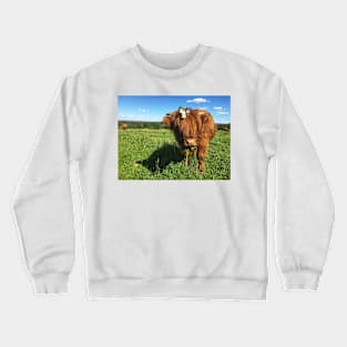 Scottish Highland Cattle Calf 2021 Crewneck Sweatshirt